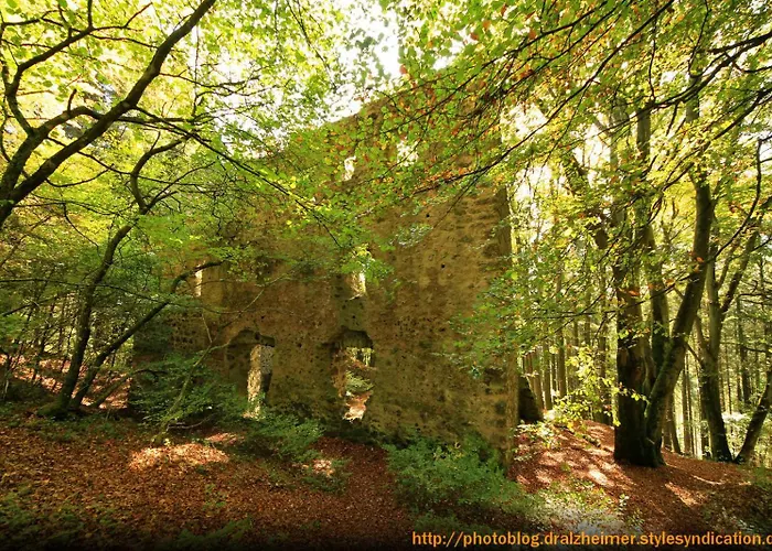 Am Eifelsteig Apartament